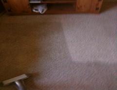 before and after carpet cleaning